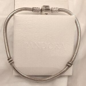 Pandora bracelet (no charms)